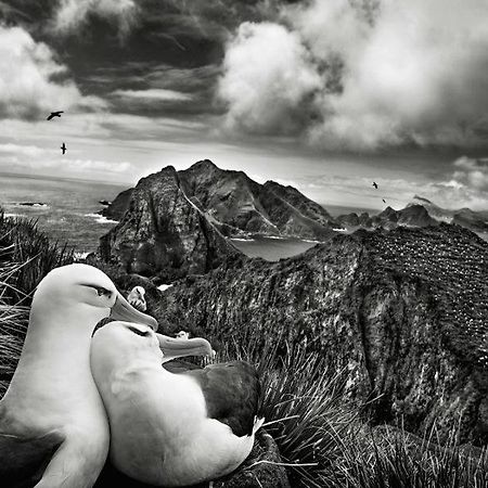 Les Mouettes Amoureuses Villa Louannec Dış mekan fotoğraf