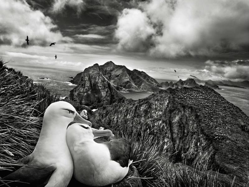 Les Mouettes Amoureuses Villa Louannec Dış mekan fotoğraf